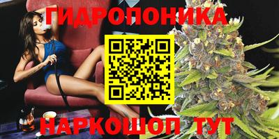 крисы Бузулук