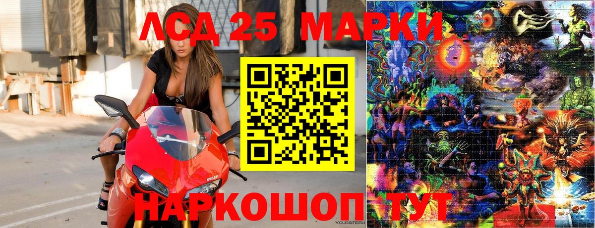 Наркотические марки 1500мкг  Наркотические марки 1500мкг  Вход с VPN  Майкоп 