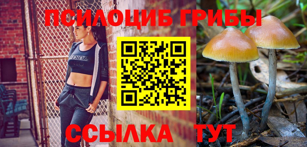 Псилоцибиновые грибы Psilocybine cubensis Майкоп