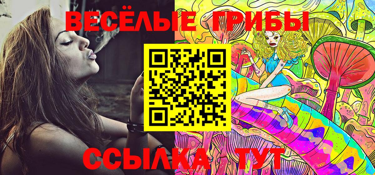 Майкоп  Галлюциногенные грибы Magic Shrooms  Вход с VPN 
